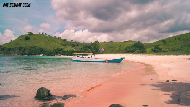 Liburan Ke Pantai Pink - Liburan Aesthetic Untuk Cuti Kamu