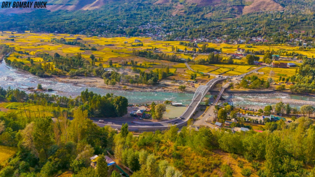 Kashmir